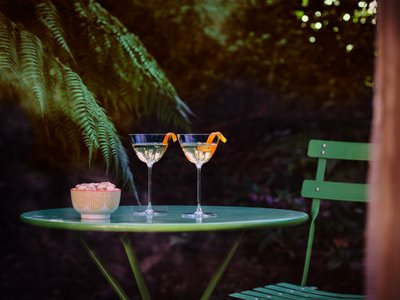 Die Szene zeigt zwei stilvolle Cocktails mit Zitrusfrüchten, die auf einem grünen Tisch inmitten von Pflanzen serviert werden.
