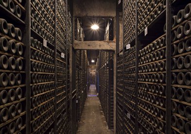 In einem Weinkeller stehen Flaschen in geordneten Reihen, während schwaches Licht die Atmosphäre geheimnisvoll erscheinen lässt.