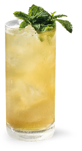 Ein kühles, gelbliches Getränk in einem langen Glas, dekoriert mit einem Zweig frischer Minze auf der Oberseite.