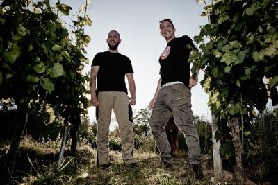 Zwei Männer stehen in einem Weinberg, lächeln und tragen lässige Kleidung, umgeben von üppigem Grün und Sonnenlicht.