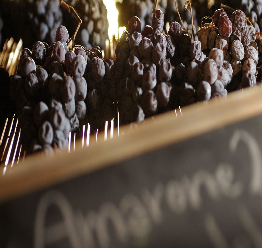 Dunkle Trauben liegen auf einem Holzbrett, beleuchtet von sanftem Licht, das eine warme Atmosphäre schafft.