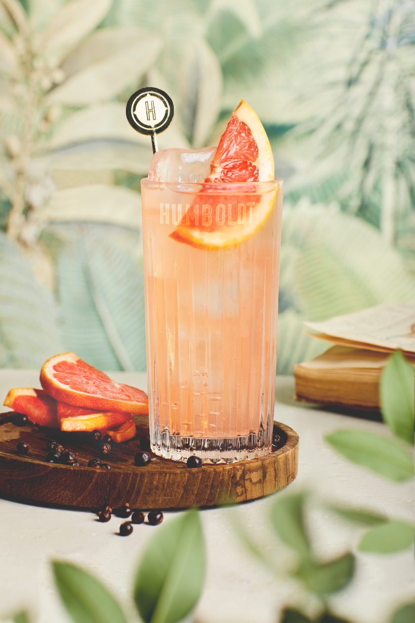 Ein erfrischendes Getränk in einem hohen Glas, garniert mit einer Orangenscheibe und Eiswürfeln, auf einem Holzbrett.