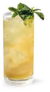 Ein kühles, gelbliches Getränk in einem langen Glas, dekoriert mit einem Zweig frischer Minze auf der Oberseite.