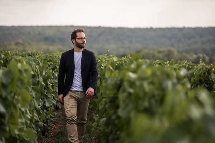 Ein Mann mit Brille und Bart geht entspannt durch einen Weinberg, umgeben von üppigem Grün und sanften Hügeln im Hintergrund.