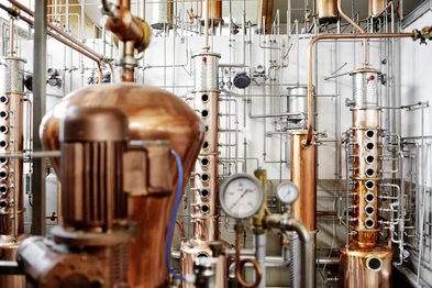 Eine komplexe Anordnung von Kupfer- und Edelstahlrohren in einer Brennerei, die für die Destillation von Spirituosen verwendet wird.