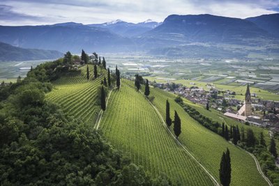 Eine malerische Weinlandschaft mit sanften Hügeln, üppigen Reben und einer kleinen Stadt im Tal unter einem bewölkten Himmel.