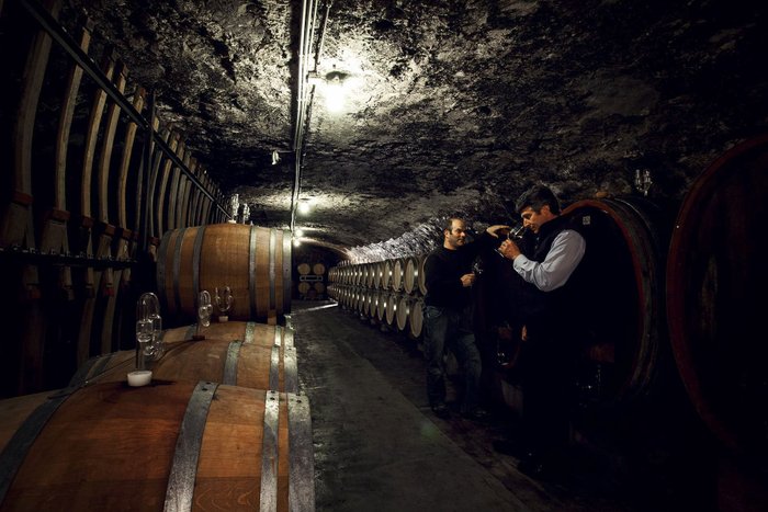 Im Weinkeller unterhalten sich zwei Männer, während sie an großen Holzfässern stehen und den Wein verkosten.