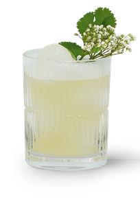 Ein Cocktail in einem gerippten Glas, das mit einem Eiswürfel und frischen Kräutern verziert ist, strahlt Frische und Eleganz aus.