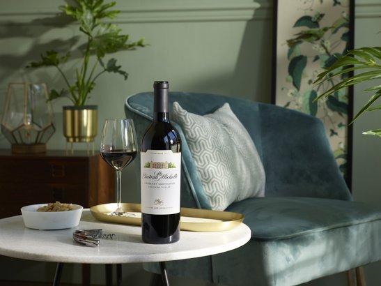 Die Szene zeigt eine Flasche Cabernet Sauvignon, ein Glas Wein und eine Schale mit Snacks, umgeben von Pflanzen und stilvollen Möbeln.