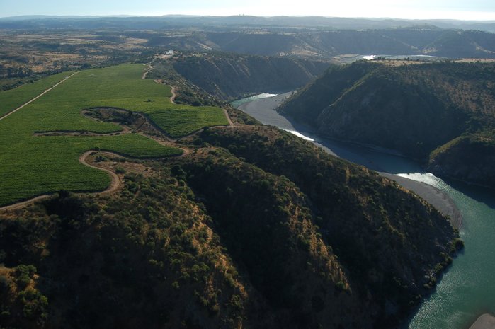 Ein beeindruckendes Landschaftsbild mit Weinbergen, die sich über die Hügel erstrecken, und einem ruhigen Fluss, der durch die Täler fließt.