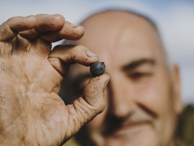 Ein älterer Mann mit schmutzigen Händen hält eine frische Traube zwischen Daumen und Zeigefinger, lächelnd in die Kamera.