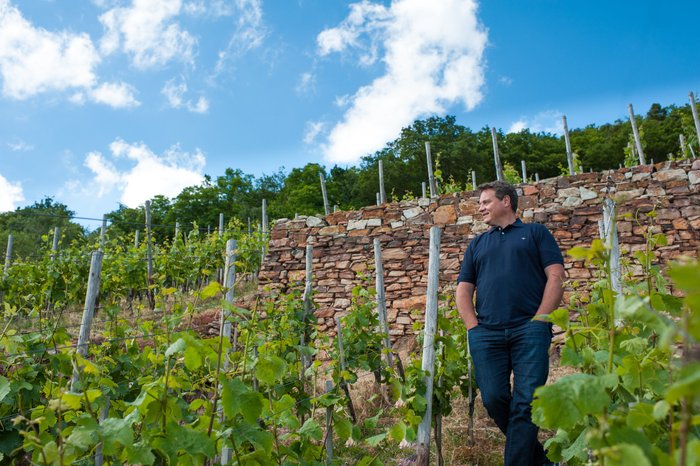 Ein Mann steht entspannt zwischen Weinreben, während er die malerische Landschaft mit einem steinernen Hang im Hintergrund betrachtet.