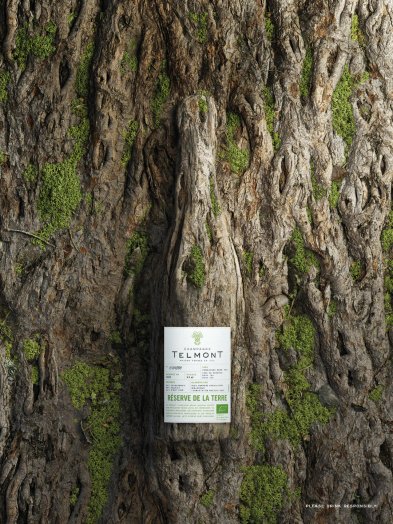 Eine Flasche Telmont Champagne wird vor einem Baum präsentier, umgeben von grünem Moos und der natürlichen Textur des Holzes, übernimmt die Flasche die Sturktur des Baumes.