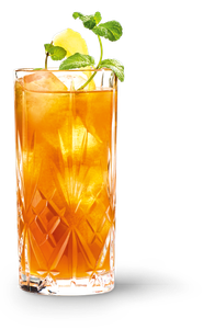 Ein elegantes Glas mit einem erfrischenden, orangefarbenen Getränk, garniert mit frischer Minze und einer Zitronenscheibe.