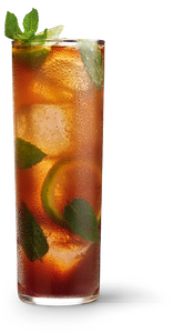 Ein sprudelndes Getränk in einem langen Glas, dekoriert mit Minze und Limettenscheiben, ideal für heiße Tage.