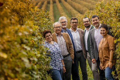 Eine Gruppe von sieben Personen lächelt in einem Weinberg, umgeben von goldenen Weinreben und sanften Hügeln im Hintergrund.
