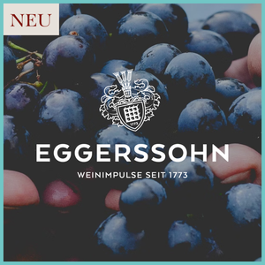 Dunkle Trauben liegen auf einer Oberfläche, während eine Hand eine Traube greift, um die Frische zu zeigen.