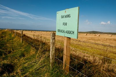 Ein grünes Schild mit der Aufschrift 'Growing for Bruichladdich' steht an einem Feld mit Heuballen im Hintergrund.