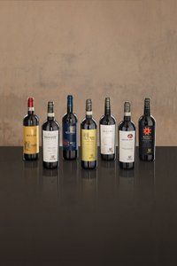 Ein elegantes Stillleben mit sieben Rotweinflaschen, die auf einem dunklen Tisch vor einer neutralen Wand platziert sind.