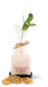 Ein ansprechend verpackter Cocktail mit einem hübschen Juteband, frischer Minze und einem eleganten Strohhalm für den Genuss.