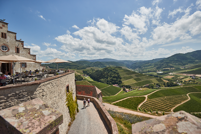 Ein sonniger Tag über Weinbergen, mit einem historischen Gebäude und Gästen, die die Aussicht auf die Landschaft genießen.