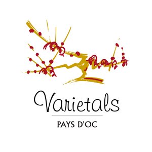 Ein stilisiertes Logo mit dem Schriftzug 'Varietals' und einer künstlerischen Darstellung von Weintrauben und Reben.