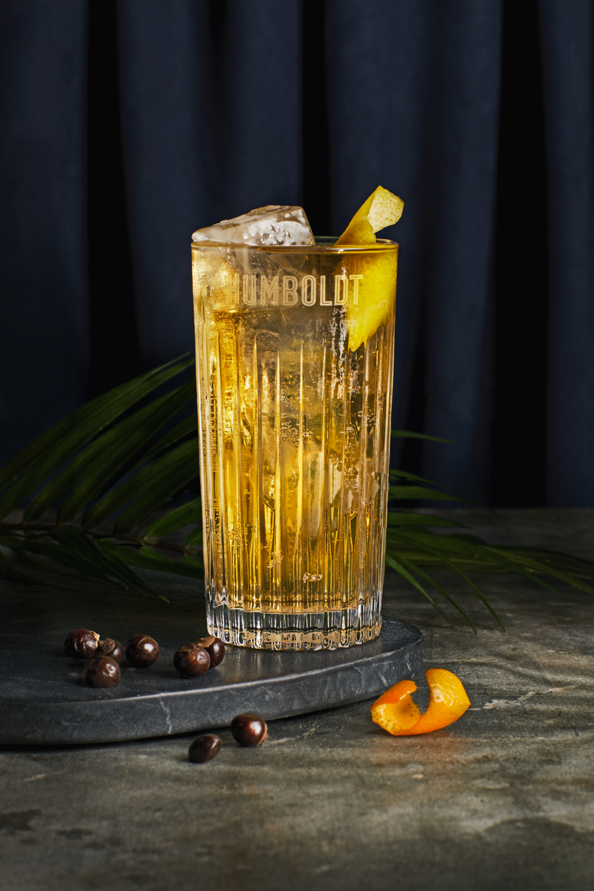 Ein erfrischendes Getränk in einem hohen Glas, garniert mit einer Zitronenscheibe und Eiswürfeln, auf einem dunklen Untergrund.