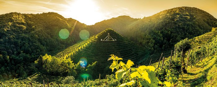 Ein malerisches Weinbaugebiet, das von üppigem Grün umgeben ist, mit der Sonne, die hinter den Bergen untergeht.