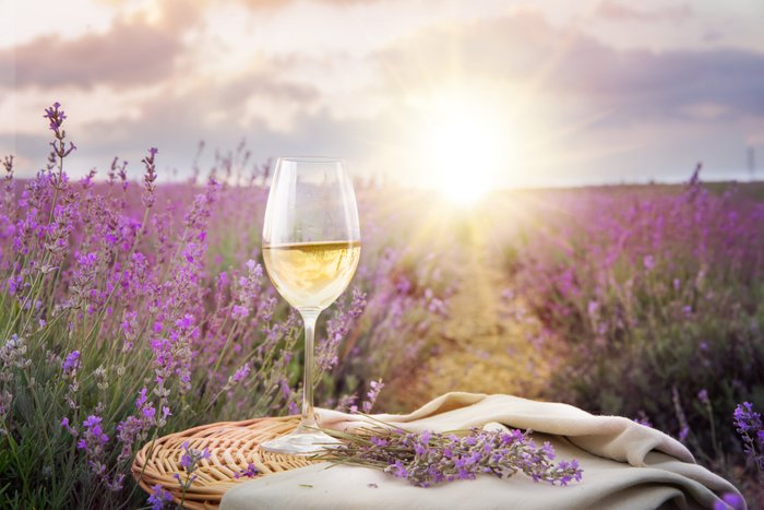 Ein Glas Weißwein steht auf einem Korb, umgeben von lila Lavendelfeldern, während die Sonne am Horizont aufgeht.