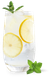 Ein transparentes Glas mit kühlem Getränk, das mit Zitronenscheiben und Minzblättern dekoriert ist, strahlt Frische aus.