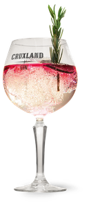 Ein elegantes Glas mit Cruxland Gin, gefüllt mit sprudelndem Getränk und einem Rosmarinzweig als Garnitur.