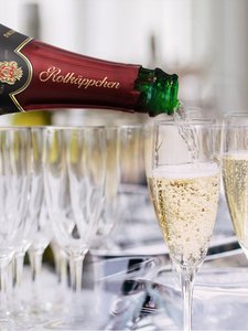 Eine Flasche Sekt mit rotem Etikett gießt sprudelnden Sekt in ein elegantes Glas, umgeben von weiteren Gläsern.