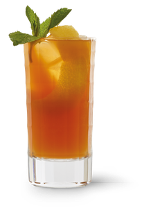 Ein hoher Glasbecher mit einem erfrischenden Getränk, gefüllt mit Eis und einer Zitronenscheibe, garniert mit frischer Minze.