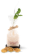 Ein ansprechend verpackter Cocktail mit einem hübschen Juteband, frischer Minze und einem eleganten Strohhalm für den Genuss.