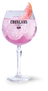 Ein elegantes Glas mit pinkem Getränk, das mit Sprudel gefüllt ist, und einer Scheibe Grapefruit am Rand.