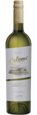 Eine elegante Flasche Colomé Torrontés mit einem goldenen Etikett, die die Hochgebirgslandschaft Argentiniens repräsentiert.