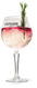 Ein elegantes Glas mit Cruxland Gin, gefüllt mit sprudelndem Getränk und einem Rosmarinzweig als Garnitur.