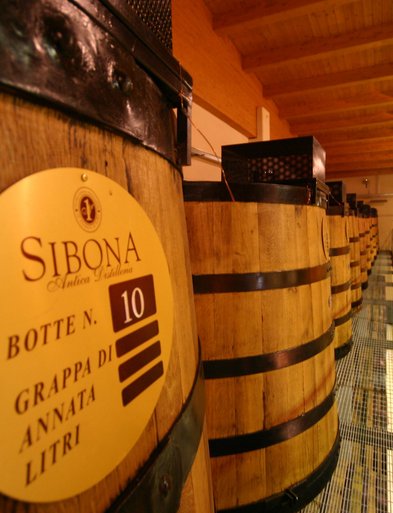 Eine lange Reihe von Holzfässern mit einem goldenen Etikett, das die Botte N. 10 und Grappa von Sibona beschreibt.