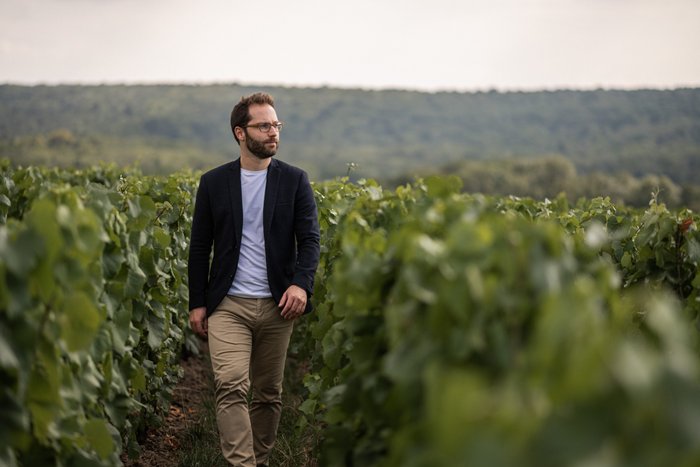 Ein Mann mit Brille und Bart geht entspannt durch einen Weinberg, umgeben von üppigem Grün und sanften Hügeln im Hintergrund.