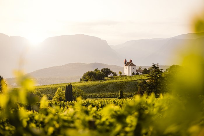 Eine malerische Kirche mit roten Türmen steht auf einem Hügel, umgeben von sanften Weinbergen und majestätischen Bergen im Hintergrund.