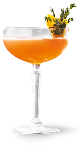 Ein eleganter Cocktail in einer Schale, gefüllt mit orangefarbener Flüssigkeit und garniert mit frischen Kräutern und einer Blüte.