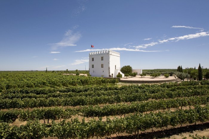 Ein weißer Turm mit einer Flagge steht inmitten von üppigen Weinreben unter einem strahlend blauen Himmel.