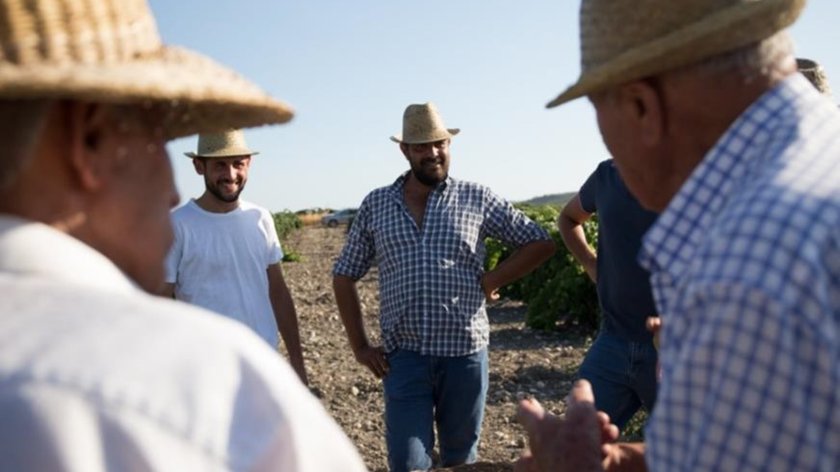 Vier Männer in Strohhüten stehen auf einem Feld und unterhalten sich lebhaft, während die Sonne scheint.