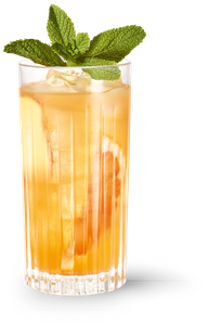 Ein erfrischender Cocktail in einem eleganten Glas, gefüllt mit Eis und Zitrusfrüchten, gekrönt von einem Minzblatt.