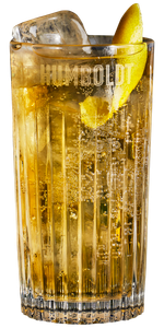 Ein erfrischendes Getränk in einem klaren Glas, das mit Eis gefüllt ist und eine Zitronenscheibe als Garnitur hat.