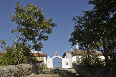 Das Bild zeigt einen Weg, der zu einem kunstvollen Tor führt, umgeben von lebhaften Pflanzen und einem strahlenden Himmel.