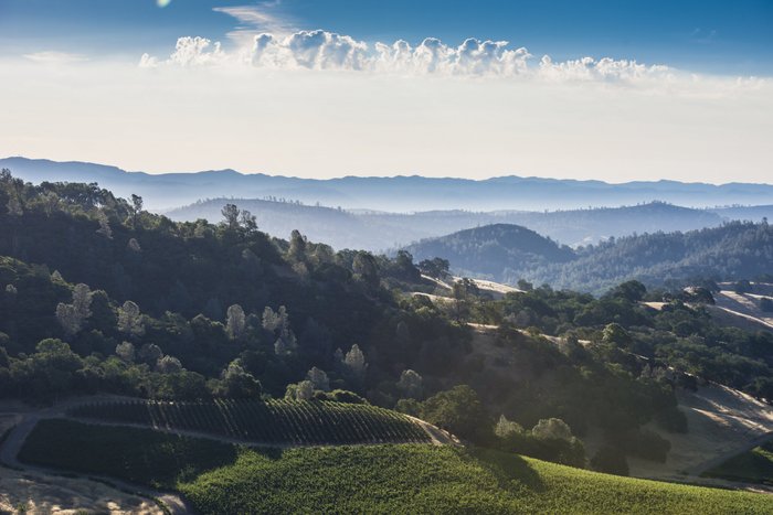 Die malerische Aussicht zeigt grüne Weinberge, umgeben von bewaldeten Hügeln und einem strahlend blauen Himmel mit Wolken.
