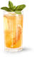 Ein erfrischender Cocktail in einem eleganten Glas, gefüllt mit Eis und Zitrusfrüchten, gekrönt von einem Minzblatt.