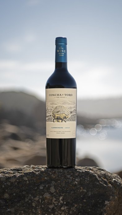 Die Weinflasche mit dem Etikett von Concha y Toro hebt sich vor einem verschwommenen Hintergrund von Wasser und Felsen ab.