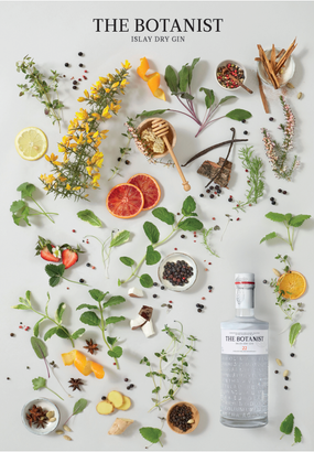 Ein kunstvolles Arrangement aus verschiedenen Pflanzen und Gewürzen umrahmt die Flasche Botanist Gin auf einem neutralen Untergrund.